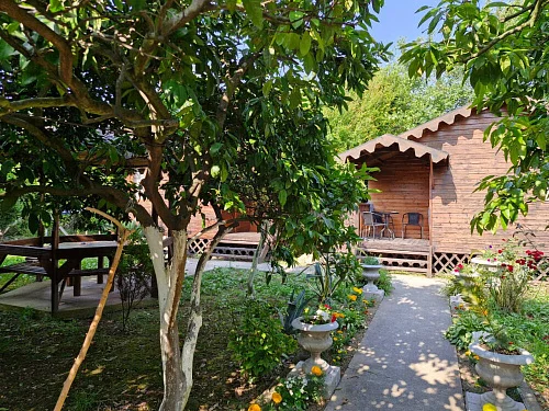 "Камелия" гостевой дом, Пицунда Фото: 23 из 30