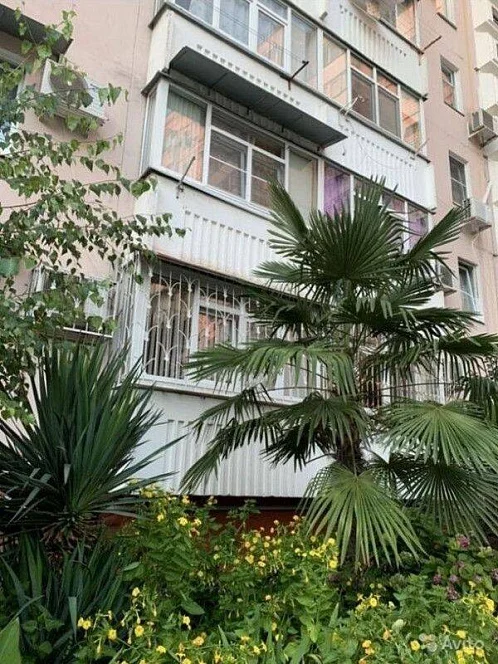 1-комнатная квартира Победы 111, Лазаревское Фото: 2 из 15