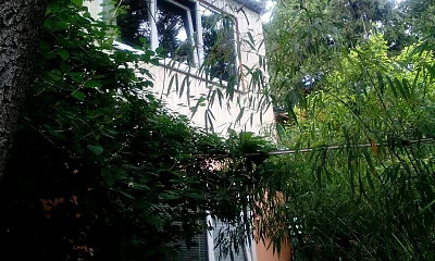 "Уют и Море" частный сектор, Гурзуф Фото: 1 из 28