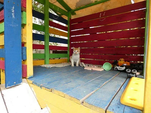 "Алые паруса" гостевой дом, Новый Афон Фото: 8 из 34