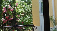 "Гармония" гостевой дом, Алушта