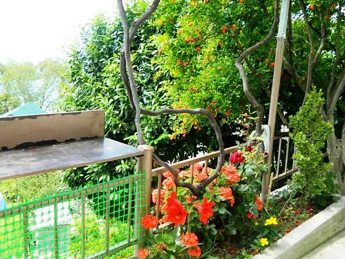 "Панорама" частный сектор, Лоо Фото: 6 из 35