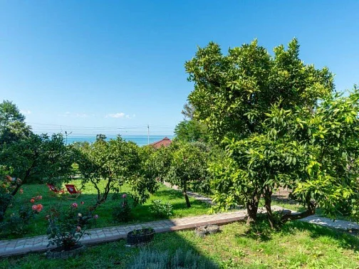 "Мэри" гостиница, Новый Афон Фото: 21 из 51