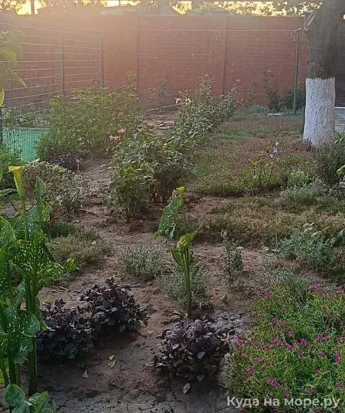 "Людмила" гостевой дом, Кучугуры Фото: 11 из 28