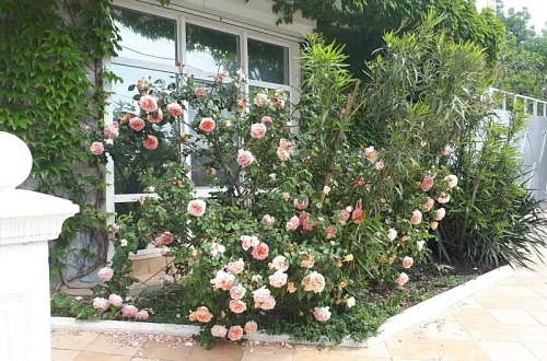 1 этаж Фото: 5 из 18