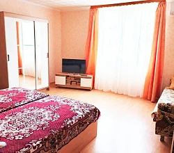 1-комнатная квартира Демышева 4/2 кв 11