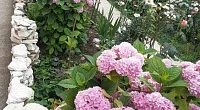 "Цветущий дворик" частный сектор, Гечрипш