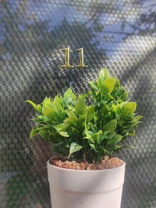 "S&S" частное домовладение, Лазаревское Фото: 6 из 49