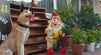 "Пальма" гостевой дом, Лермонтово