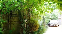 "Любимый дворик" частный сектор, Адлер