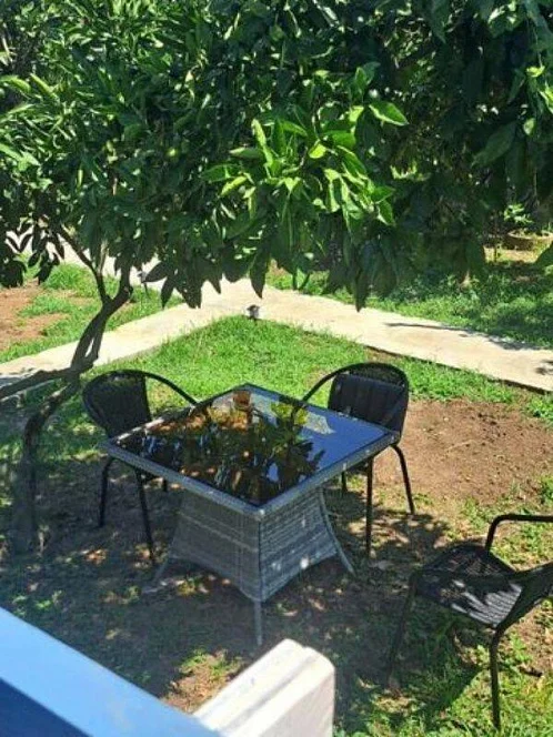 "Мария" база отдыха, Агудзера Фото: 14 из 28
