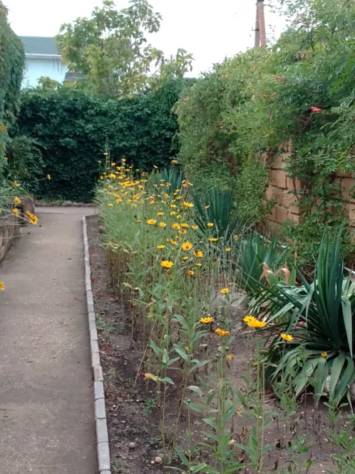 "НАШ КАЗАНТИП" гостевой дом, Новоотрадное Фото: 9 из 51