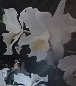 "Домик Орхидея" 2х-3х-местный