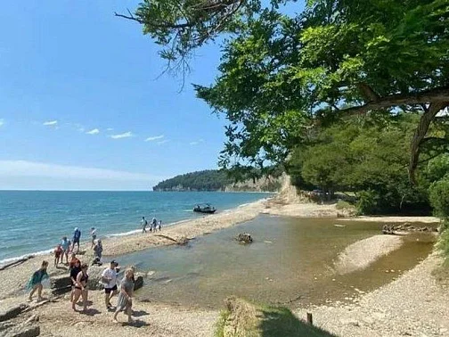 "Абхазкий двор кемпинг с домиками" база отдыха, Мюссера Фото: 30 из 32