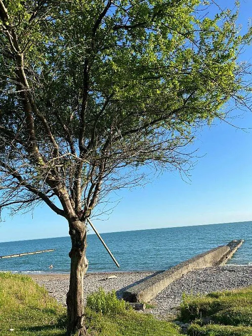 "Амальфи" гостевой дом, Новый Афон Фото: 43 из 47