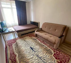 1-комнатная квартира Тургенева 18 кв 14