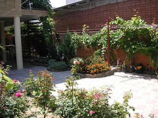 Частный сектор Владимирская 50, Анапа Фото: 7 из 17