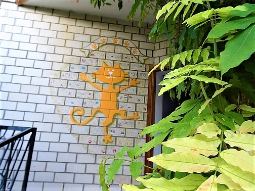 "Солнечный кот" гостевой дом, Малореченское Фото: 10 из 47