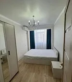 3х-комнатная квартира