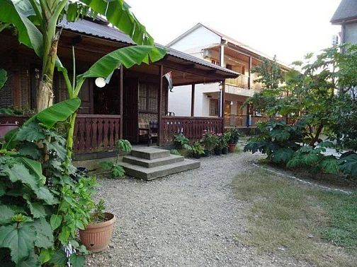 "Магнолия" гостевой дом, Лдзаа Фото: 5 из 51