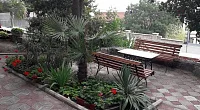 "В тени ливанского кедра" частный сектор, Алупка