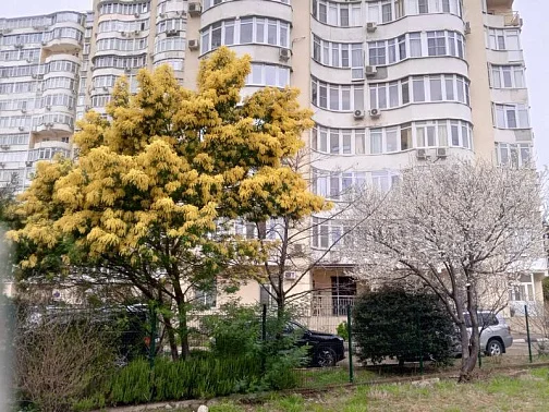 1-комнатная квартира Тормахова 2/1, Лазаревское Фото: 3 из 26