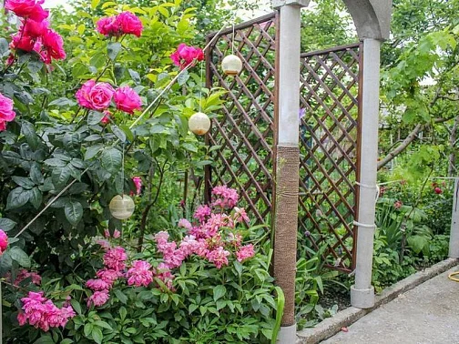 "Салатовый дельфин" частный сектор, Голубая бухта Фото: 12 из 28