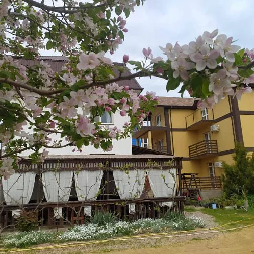 "Калифорния" мини-гостиница, Новофёдоровка Фото: 5 из 47