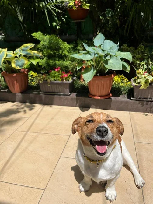 Частный сектор Калараш 85 (здание 2), Лазаревское Фото: 6 из 39