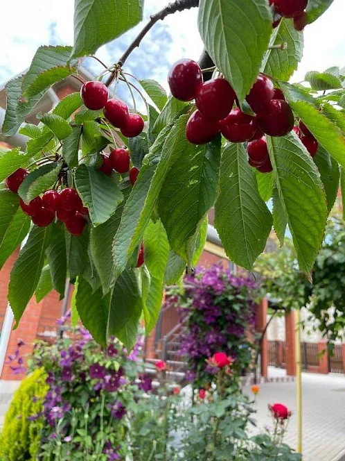 Дом под-ключ Цветочная 41, Голубицкая Фото: 3 из 18