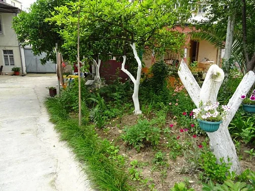 Частный сектор Адыгаа 87, Гагра Фото: 4 из 39