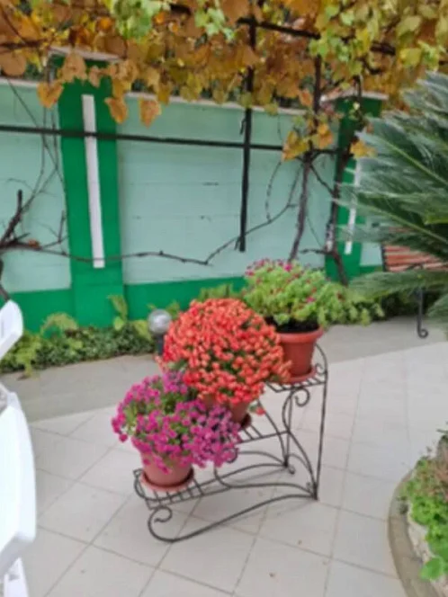 "Вероника" гостевой дом, Имеретинская Бухта Фото: 4 из 40