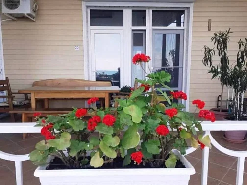 "У Елены" гостевой дом (эллинг), Орджоникидзе Фото: 2 из 4