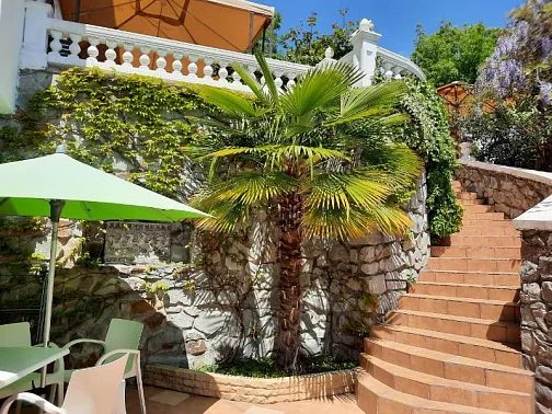 "Домик в Гаспре" гостевой дом, Ялта Фото: 14 из 46