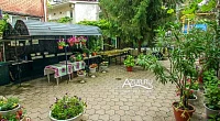 "Дельфин" гостевой дом, Дивноморское