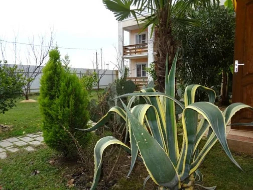 "Дарья" гостевой дом, Цандрипш Фото: 14 из 45