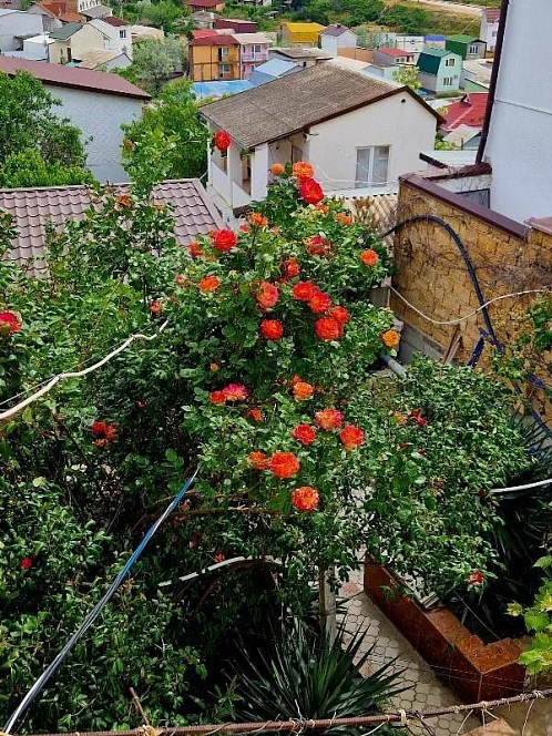 "Ксения" гостевой дом, Орджоникидзе Фото: 5 из 26