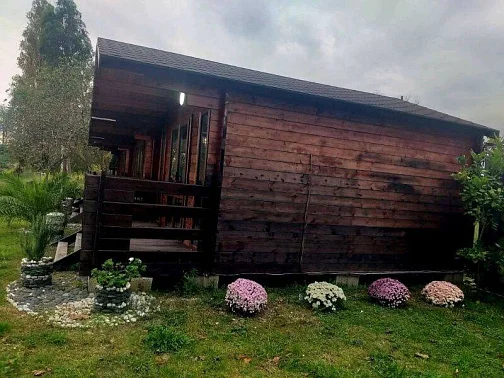 "Три домика" база отдыха, Гудаута Фото: 3 из 9