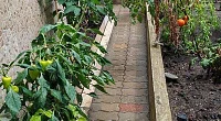 "На Камышовой" частный сектор, Сириус