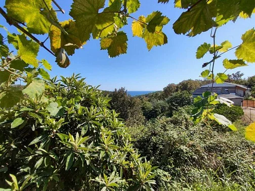 "Пенаты" частный сектор, Амжикхуа Фото: 10 из 25