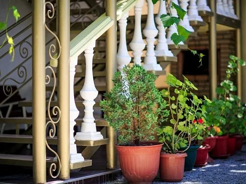 "Панорама" гостевой дом, Дивноморское Фото: 17 из 51