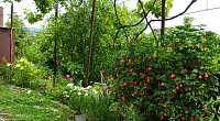 "Артемий" частный сектор, Новый Афон