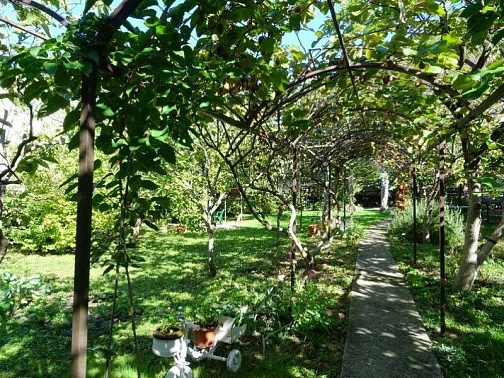 "Райский сад" гостевой дом, Шепси Фото: 3 из 40