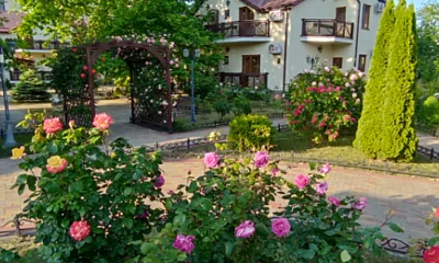 "Платан Resort" база отдыха, Витязево Фото: 1 из 31