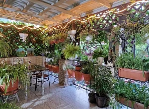 Этаж  Новороссийская 101 Геленджик