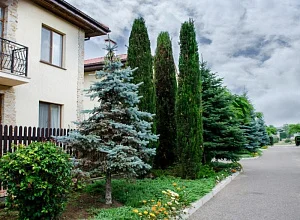 "Вилла Россо" гостевой дом