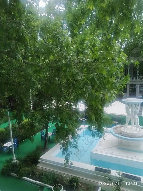 Гостевой дом Пушкинская 23/14, Ялта Фото: 2 из 15