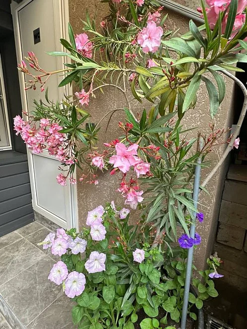 "Атмосфера" гостевой дом, Лермонтово Фото: 9 из 24