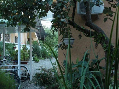 "Эссо" частный сектор, Адлер Фото: 9 из 51