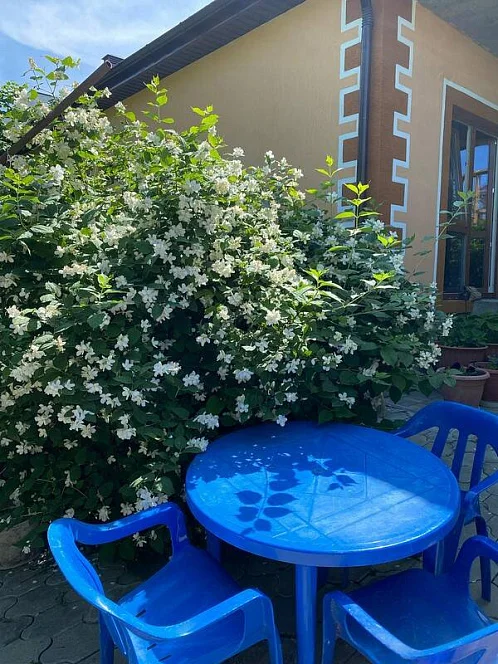 Частный сектор Маячная 37, Геленджик Фото: 10 из 42